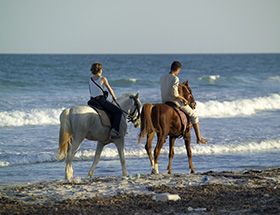 Couple on a Gulf Coast horse ride