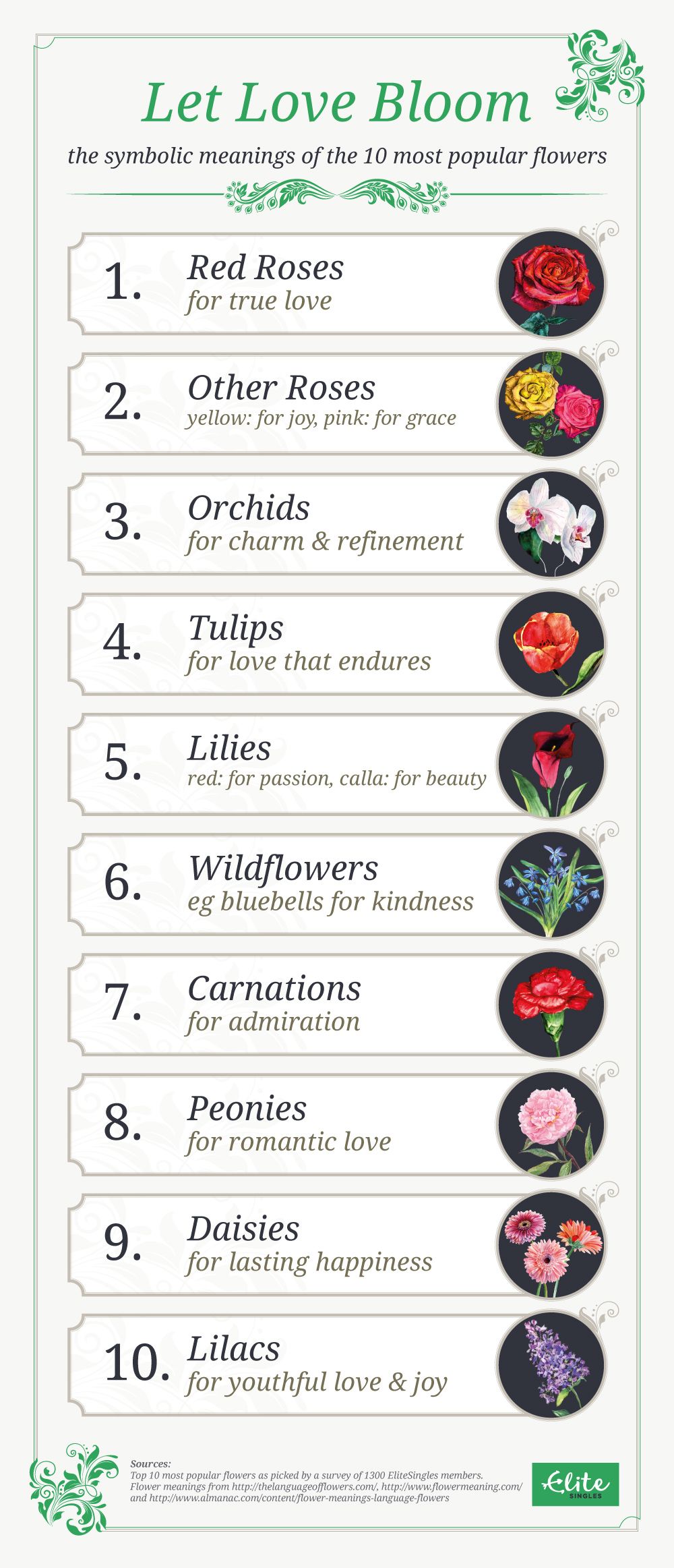 let love bloom infographic