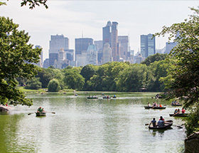 view of New York from Central Park