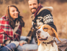 Couple sitting in the park with their dog