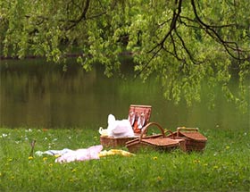 picnic basket